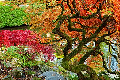 消息称Square Enix计划加大对AAA游戏投入力度