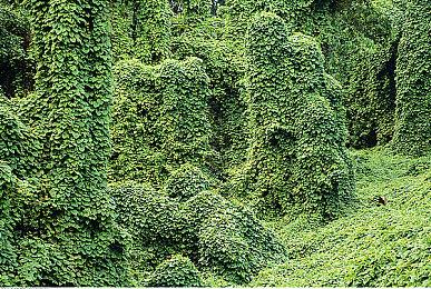 印度GTA《Project Madras》公开 探索印度文化